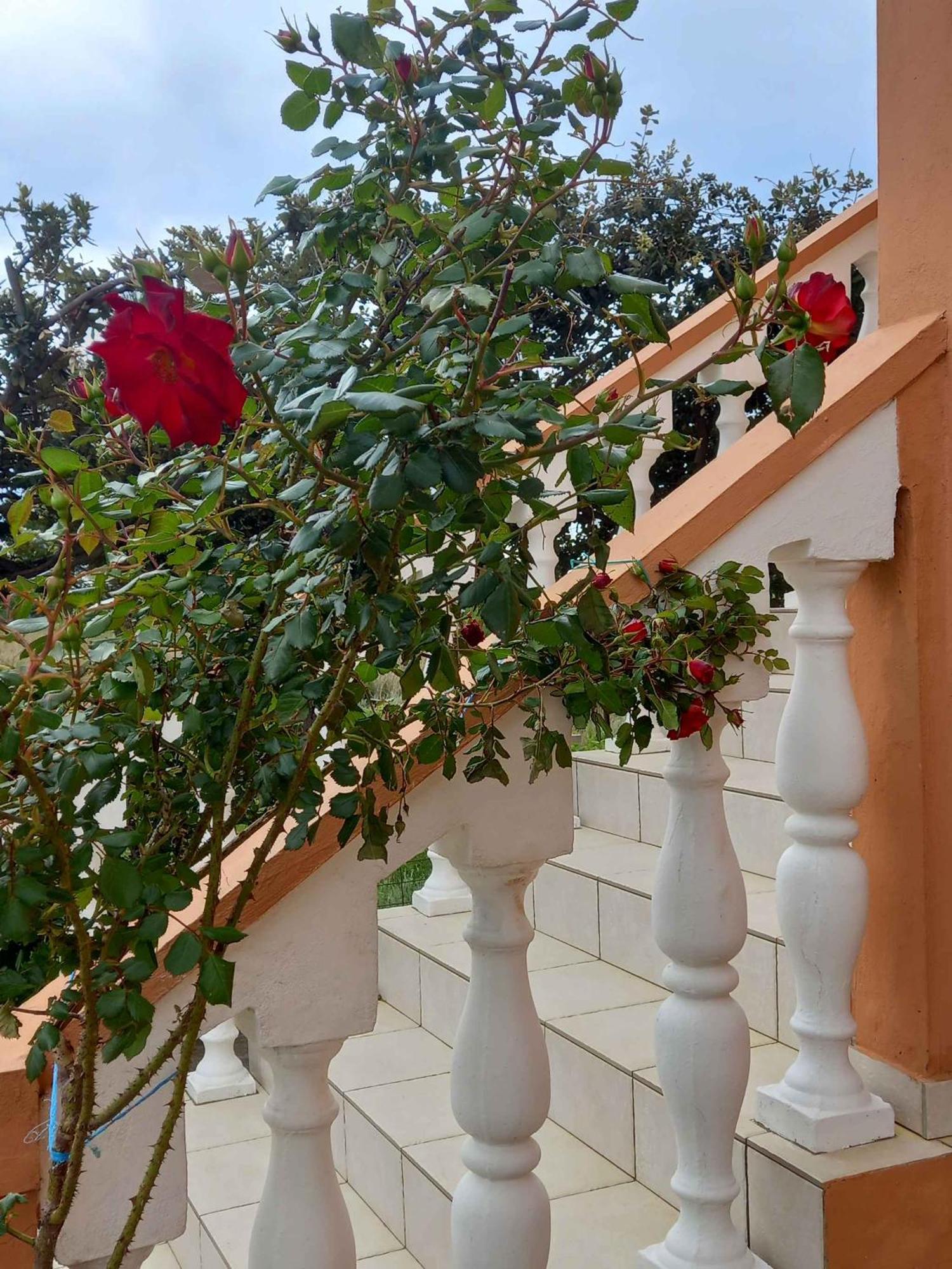 Apartments In Rab - Insel Rab 39950 Mundanije Экстерьер фото